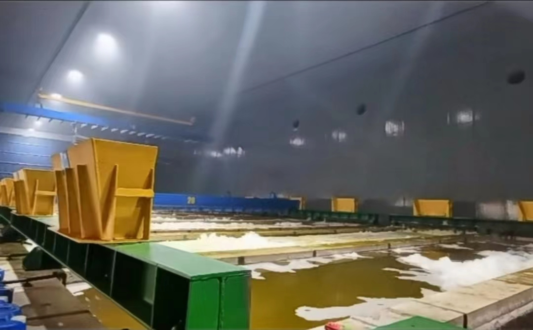 1668585663687877.png image.png